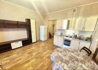 Квартира в аренду студия, 27 м2, Новосибирск, Обская улица, 82