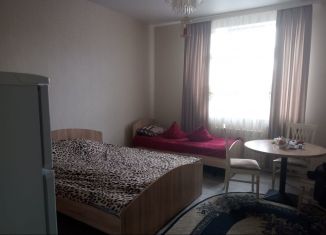 Сдам 1-ком. квартиру, 60 м2, деревня Дудкино, СНТ Круиз, 247