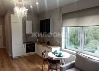 Продажа 2-ком. квартиры, 48 м2, поселок Каинская Заимка, улица Серебряное Озеро, 12