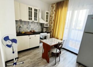 Аренда квартиры студии, 35 м2, Новосибирск, улица Ясный Берег, 35