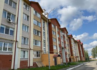 3-комнатная квартира на продажу, 93 м2, село Завьялово, улица Мира, 13