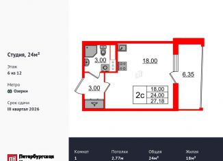 Квартира на продажу студия, 24 м2, Санкт-Петербург, метро Озерки