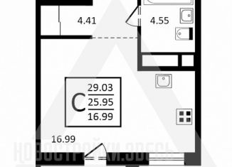 Продается квартира студия, 29 м2, посёлок Заклязьменский