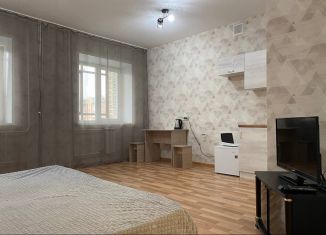 Аренда квартиры студии, 30 м2, Черногорск, улица Генерала Тихонова, 11Б