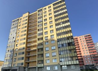 Аренда 2-комнатной квартиры, 54 м2, Санкт-Петербург, Северный проспект, 127к2, муниципальный округ Полюстрово