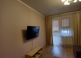 Сдам в аренду 2-ком. квартиру, 56 м2, Тюмень, улица Ю.-Р.Г. Эрвье, 26, Центральный округ