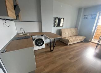 Квартира в аренду студия, 28 м2, Пермь, улица Куфонина, 10Б