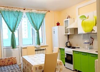 Аренда двухкомнатной квартиры, 65 м2, Самара, улица Стара-Загора, 46