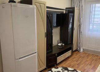 Сдается квартира студия, 25 м2, Красноярск, улица Калинина, 15