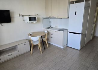 Сдаю в аренду квартиру студию, 25 м2, Мурино, ЖК Виктория, проспект Авиаторов Балтики, 7
