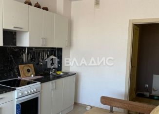 Сдается в аренду 2-ком. квартира, 55 м2, деревня Анкудиновка, Русская улица, 7