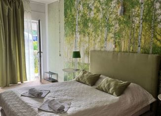 Сдача в аренду дома, 25 м2, посёлок Усть-Сема, переулок Верх-Барангол, 14