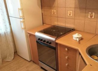 Двухкомнатная квартира в аренду, 48 м2, Екатеринбург, улица Амундсена, 70