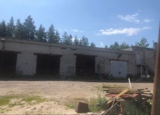 Продаю помещение свободного назначения, 457.7 м2, Выкса, территория Проммикрорайон № 1, 11