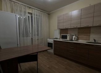 Сдача в аренду 1-ком. квартиры, 40 м2, Красноярск, улица Батурина, 19, Советский район