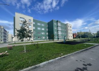 Продается 3-ком. квартира, 80 м2, деревня Болтино, улица Баздырева, 11