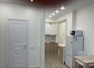 Сдается 1-ком. квартира, 30 м2, Краснодарский край, Российская улица, 17к1