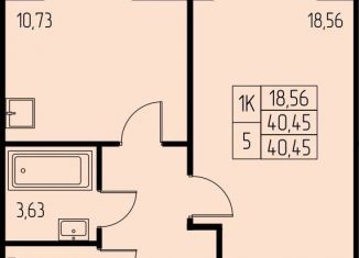 1-комнатная квартира на продажу, 40.5 м2, Московская область, микрорайон Дружный, 15