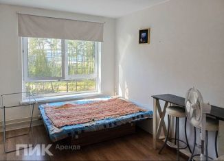 Сдача в аренду квартиры студии, 19.8 м2, Санкт-Петербург, Орлово-Денисовский проспект, 19к1