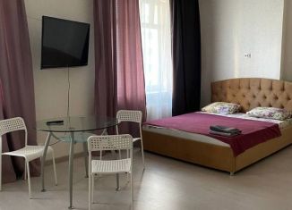 Сдается в аренду квартира студия, 40 м2, Екатеринбург, улица Щорса, 53