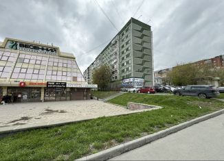 Продается 1-ком. квартира, 28 м2, Екатеринбург, улица Хохрякова, 100, метро Чкаловская