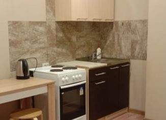 Сдам в аренду квартиру студию, 18 м2, Новосибирск, улица Титова, 252/2