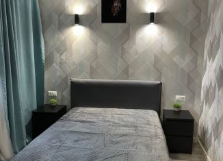 Сдача в аренду 2-комнатной квартиры, 40 м2, Котельники, микрорайон Новые Котельники, 14