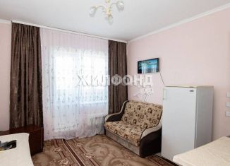 Продам квартиру студию, 19 м2, Новосибирская область, Берёзовая улица, 19