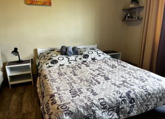 Сдам в аренду квартиру студию, 33 м2, Петрозаводск, улица Правды, 40А