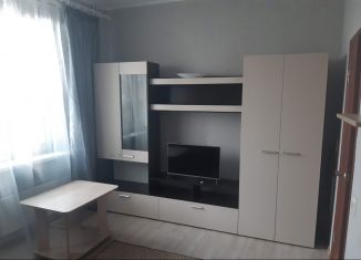 Сдается квартира студия, 28 м2, Ростов-на-Дону, улица Ерёменко, 94