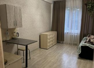 Квартира в аренду студия, 23 м2, Санкт-Петербург, бульвар Красных Зорь, 10