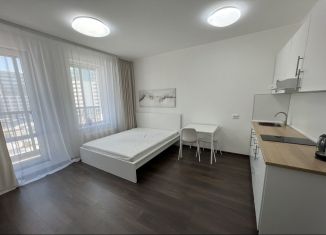 Сдаю квартиру студию, 30 м2, Санкт-Петербург, Торфяная дорога, 15к3