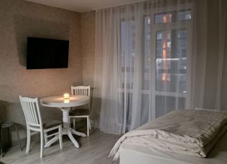 Сдаю квартиру студию, 30 м2, Тюмень, Обдорская улица, 1