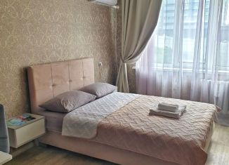 Сдам квартиру студию, 24 м2, Приморский край, Некрасовская улица, 46