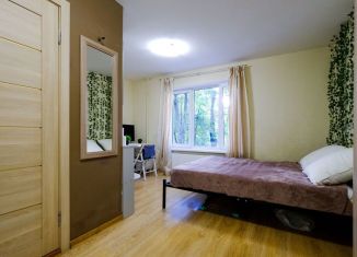 Сдаю в аренду квартиру студию, 17.5 м2, Москва, Клинская улица, 4к2, САО