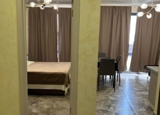 Сдача в аренду 1-ком. квартиры, 40 м2, Сочи, Крымская улица, 44А, микрорайон Мамайка