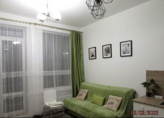 Сдам квартиру студию, 24 м2, Санкт-Петербург, улица Бабушкина, 53