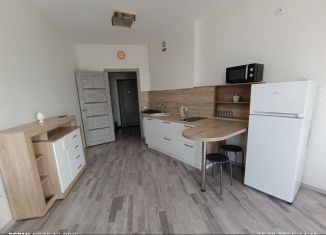 Сдаю в аренду квартиру студию, 30 м2, Екатеринбург, улица Начдива Васильева, 34, Верх-Исетский район