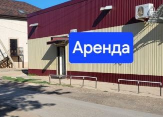 Торговая площадь в аренду, 50 м2, Ахтубинск, улица Шубина, 81