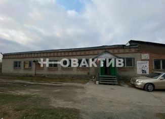 Продается помещение свободного назначения, 530.8 м2, село Плотниково, улица 25-го Партсъезда, 1