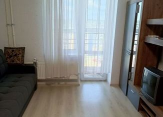 Сдается в аренду 1-комнатная квартира, 33 м2, поселок городского типа Стройкерамика, улица Веры Ершовой, 18с4