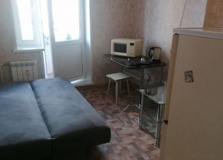 Сдаю квартиру студию, 20 м2, Красноярск, улица Дмитрия Мартынова, 43, Центральный район