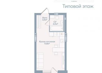 Продам квартиру студию, 28 м2, Астрахань, Моздокская улица, 40, Советский район