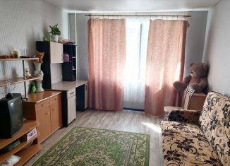 Продается 1-комнатная квартира, 30 м2, Пенза, Минская улица, 21