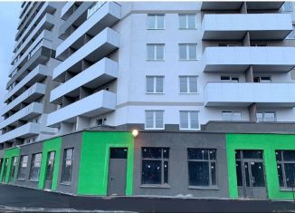 Продажа помещения свободного назначения, 168 м2, посёлок Парголово, Тихоокеанская улица, 18к4