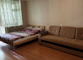 Сдается двухкомнатная квартира, 70 м2, Нижний Новгород, улица Родионова