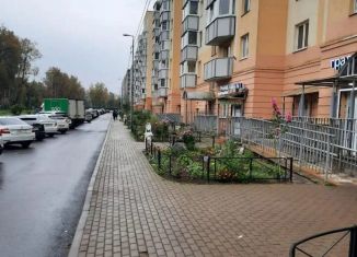 Продажа 2-комнатной квартиры, 54 м2, Санкт-Петербург, Приозерское шоссе, 16к1