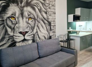 Квартира в аренду студия, 29 м2, Новосибирск, Красный проспект, 305, метро Заельцовская