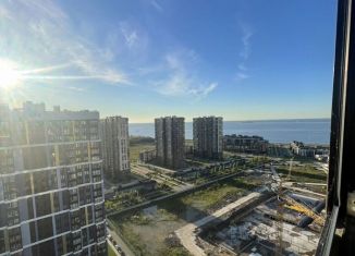 Сдача в аренду двухкомнатной квартиры, 50 м2, Санкт-Петербург, проспект Героев, 33, Красносельский район