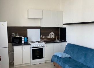 Продам квартиру студию, 24 м2, Мурино, Ручьёвский проспект, ЖК Айди Мурино